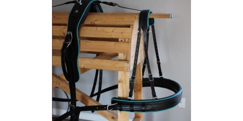 Sport harness - Training Model - Single - Horse size